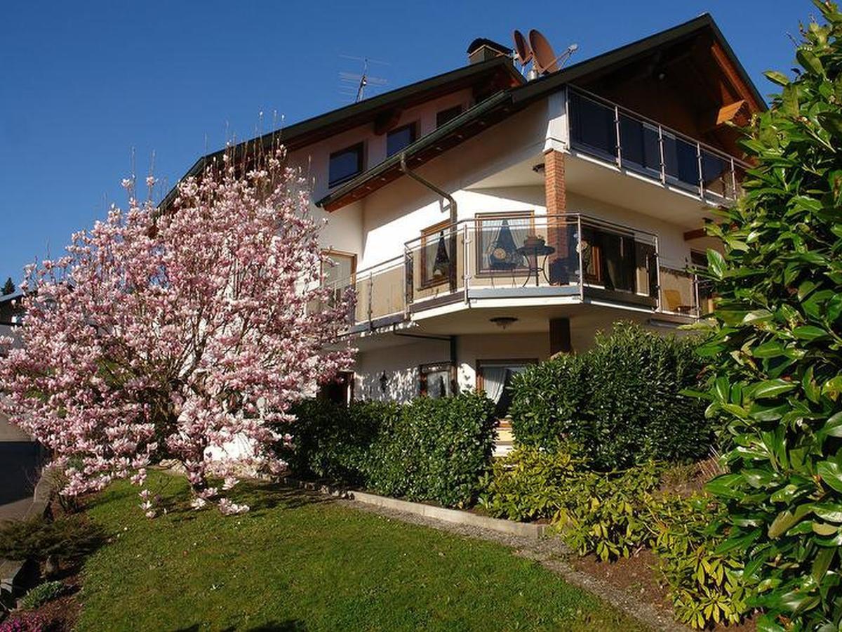 Schwarzwaelder Ferienwohnungen Seelbach  Exteriér fotografie