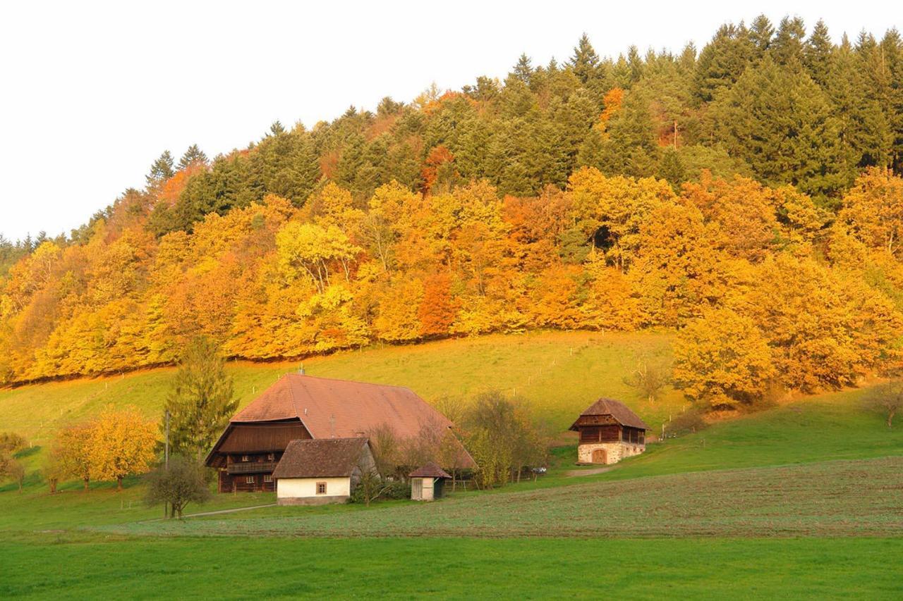Schwarzwaelder Ferienwohnungen Seelbach  Exteriér fotografie