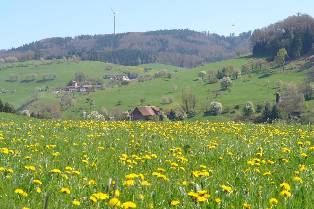 Schwarzwaelder Ferienwohnungen Seelbach  Exteriér fotografie